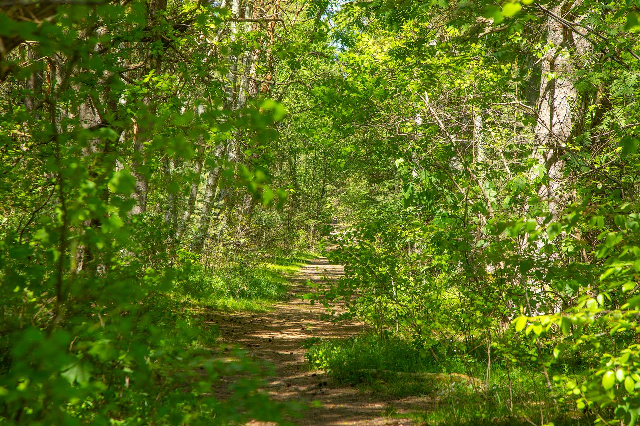 image 04